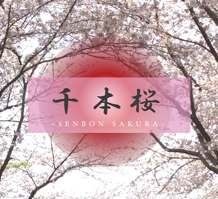 日韩网站中文字幕-我不卡全集免费观看